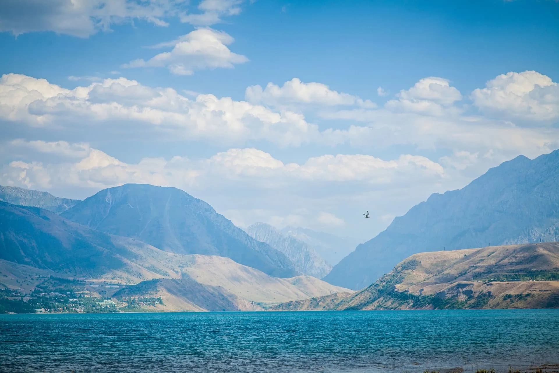 Header image 3